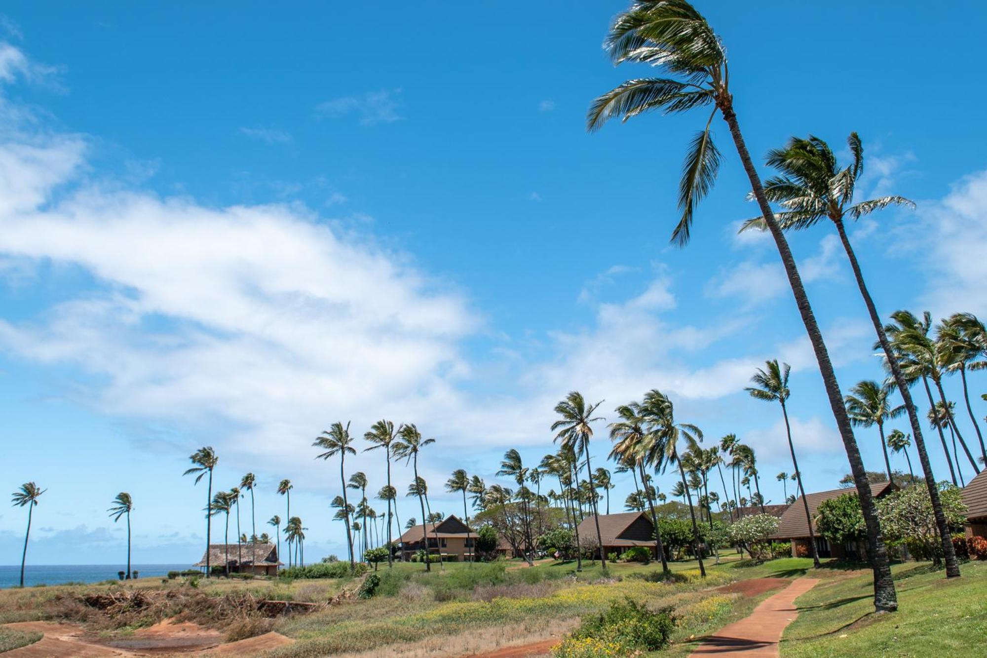 Kepuhi Beach Resort Maunaloa Номер фото